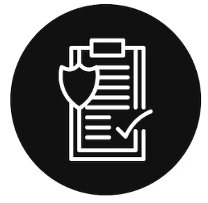 Process and Compliance Verification Icon